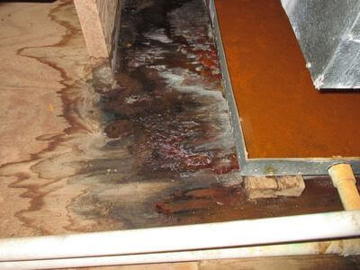 About water damage restoration service - storm damage restoration experts in Lake Worth
